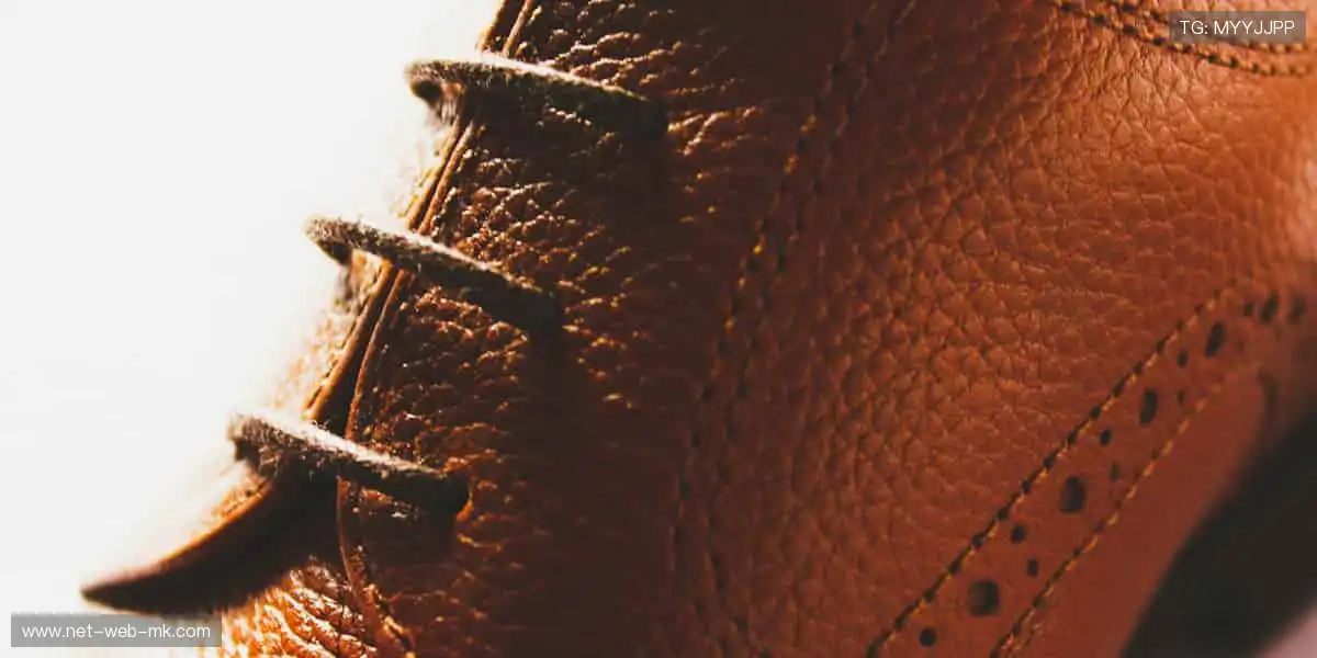 速度与激情，这里是体育的狂欢殿堂，等你来战⚡️🚀